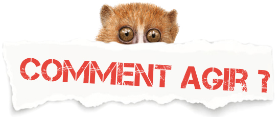 Comment agir ?